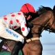 Close Up Horse Photo